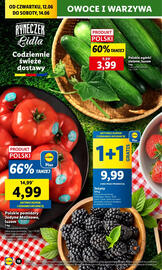 Lidl gazetka Strona 20