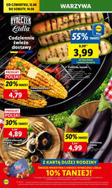 Lidl gazetka Strona 22