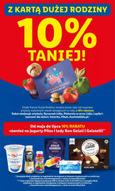 Lidl gazetka Strona 44