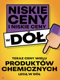 Delikatesy Centrum gazetka tydzień 24 Strona 42