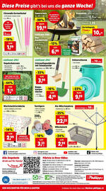 Thomas Philipps Flugblatt woche 25 Seite 12