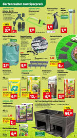Thomas Philipps Flugblatt woche 25 Seite 3