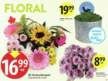 Save on Foods flyer week 24 Page 5