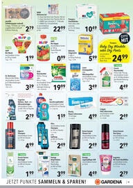 CITTI Markt Prospekt woche 24 Seite 19