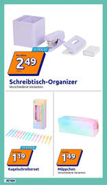 Action Prospekt woche 24 Seite 19
