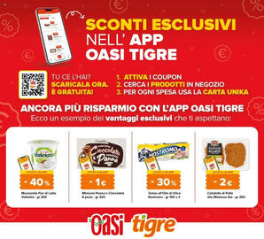 Volantino Tigre Pagina 13