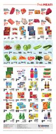 Foodarama Weekly Ad week 24 Page 4