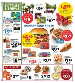 Pick'n Save Weekly Ad week 24 Page 9
