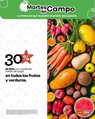 Catálogo Surtimax (válido hasta 30-06)