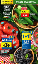 Lidl gazetka Strona 20