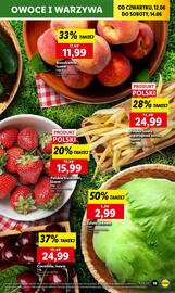 Lidl gazetka Strona 21