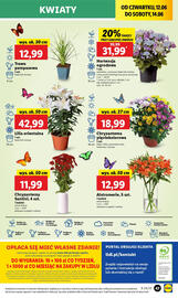 Lidl gazetka Strona 57