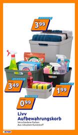 Action Flugblatt woche 24 Seite 12