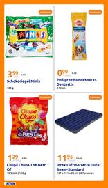 Action Flugblatt woche 24 Seite 21