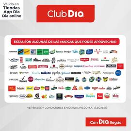 Catálogo Supermercados DIA Página 3