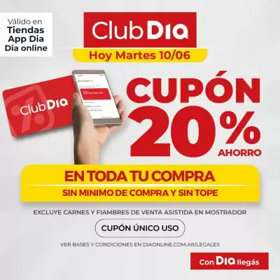 Catálogo Supermercados DIA (válido hasta 6-10)