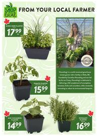 Nesters Market flyer week 24 Page 4