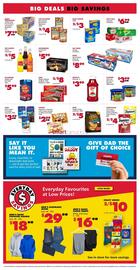 The Bargain Shop flyer week 24 Page 6