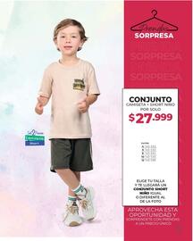 Catálogo Dolce Catálogos Página 43