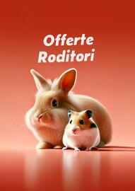 Volantino Lillo e i Vagabondi Pagina 14