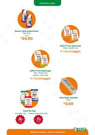 Volantino Lillo e i Vagabondi Pagina 3