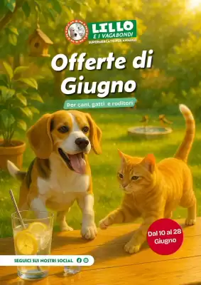 Volantino Lillo e i Vagabondi (valido fino al 28-06)