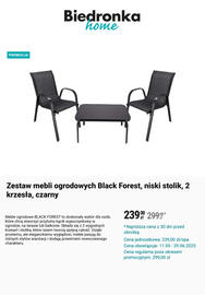 Biedronka gazetka Strona 11