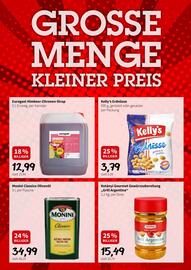Der Grissemann Flugblatt Seite 11