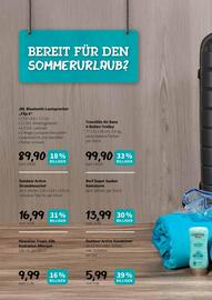 Der Grissemann Flugblatt Seite 8