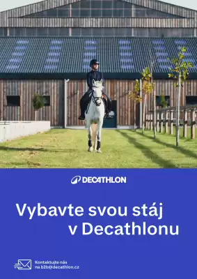 Decathlon leták (platné do 17-06)