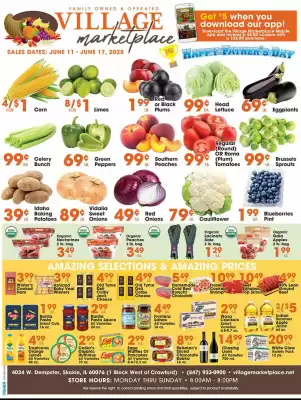 Village Market Food Centers Weekly Ad (valid until 17-06)