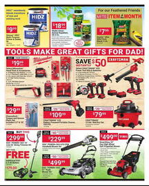 Ace Hardware Weekly Ad Page 2