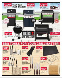 Ace Hardware Weekly Ad Page 3