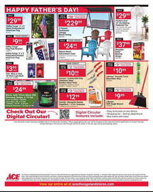 Ace Hardware Weekly Ad Page 6