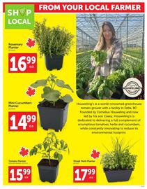 Buy-Low Foods flyer week 24 Page 4