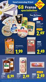 Lidl folder week 25 Pagina 17