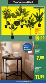 Lidl folder week 25 Pagina 31