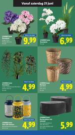 Lidl folder week 25 Pagina 35