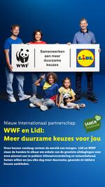 Lidl folder week 25 Pagina 38
