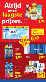 Lidl folder week 25 Pagina 9