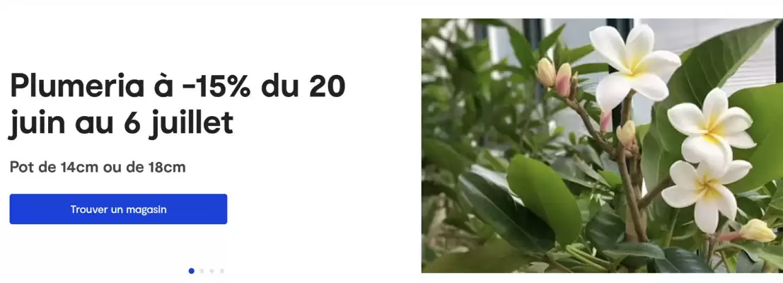 Catalogue Côté Nature (valable jusqu'au 6-07)