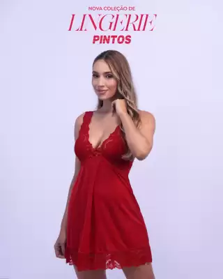 Catálogo Lojas Pintos (válido até 15-06)