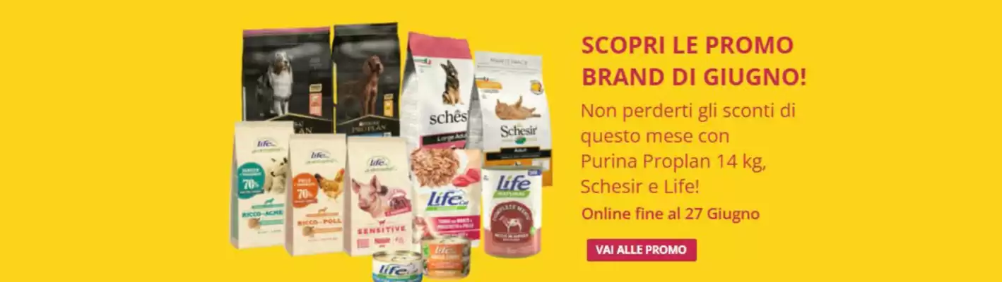 Volantino L'ora degli animali (valido fino al 27-06)