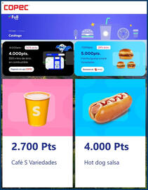 Catálogo Copec Página 5