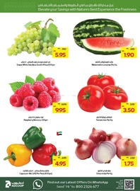 Abu Dhabi Coop catalogue week 24 Page 4