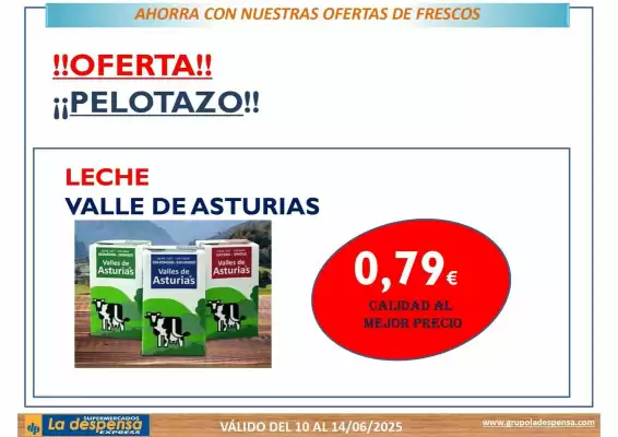 Folleto La Despensa Express (válido hasta el 14-06)