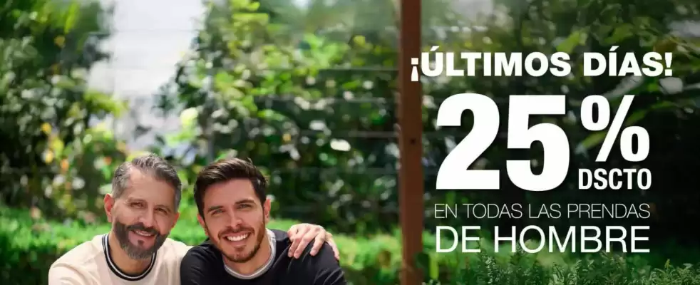 Catálogo Pinto (válido hasta 15-06)