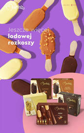 Biedronka gazetka Strona 19
