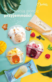 Biedronka gazetka Strona 20