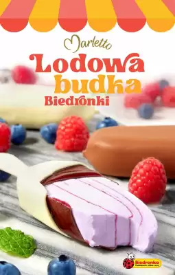 Biedronka gazetka (ważność do 30-06)